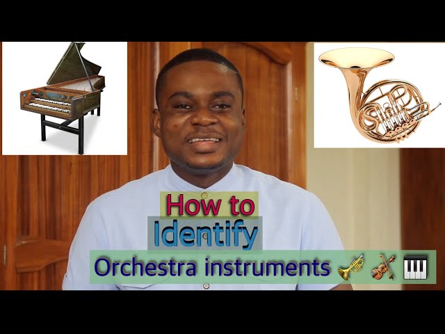 Introduction to Classical Music Instruments | PART 2