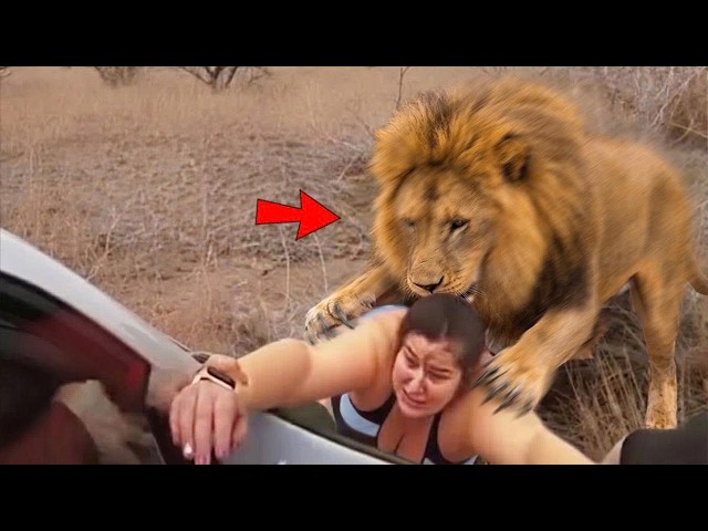 199 Most BRUTAL ANIMAL ATTACKS Caught on Camera
