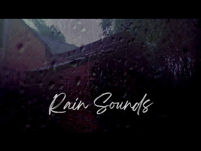 Calming Rain Sounds for Study, Focus, Relaxation, and Meditation ASMR