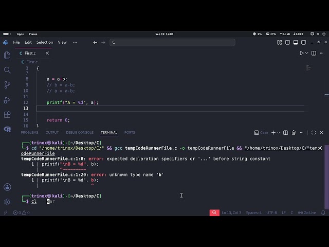 C programming swapping