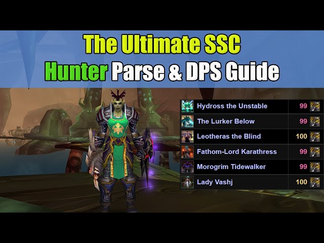 The Ultimate Hunter SSC Parse and DPS Guide