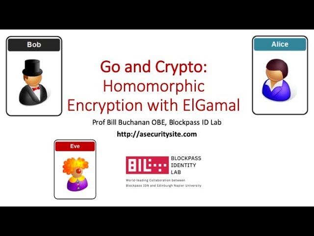 Homomorphic Encryption (Multiply, Divide and Add) with ElGamal