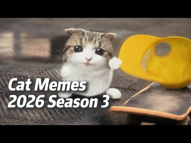 Cat Memes 2026 Season 3