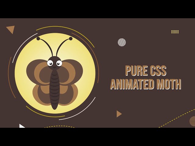 Pure Css Animated Moth | Css Animation Effects