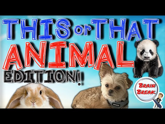 This or That? Animal Edition! | Brain Break | Would You Rather? | Fun Fitness for Kids | GoNoodle
