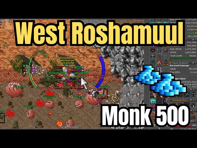 Tibia Monk Solo 500 West Roshamuul