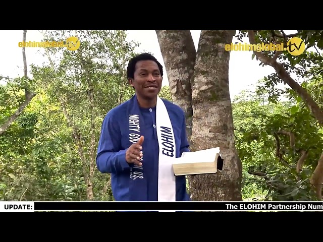 RECIEVE ABUNDANT SUPPLY OF ALL YOUR NEEDS FROM THE TREE OF LIFE THIS FRIDAY.