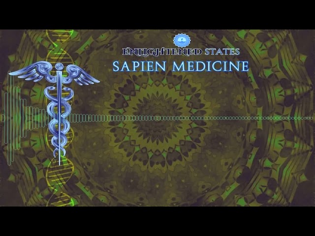 Internal Alchemy Series 6: Transmutation of Lower and Basal Energy by Sapien Medicine ver2.0