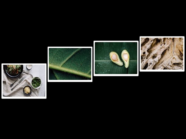 Cool CSS Keyframes Animation