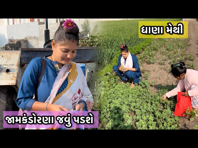 જામકંડોરણા કેમ જવું પડ્યું// જામનગર ખેતર આતો મરવા ગયા