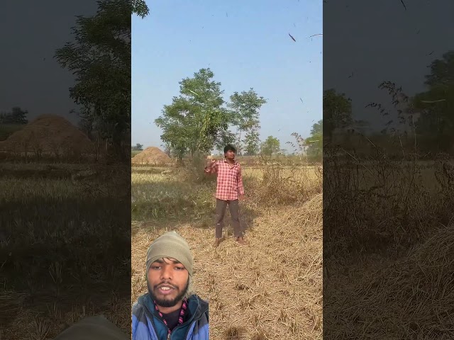 Top Learning Toolsfor Tech Enthusiasts#shorts #shortsfeed #viralshorts