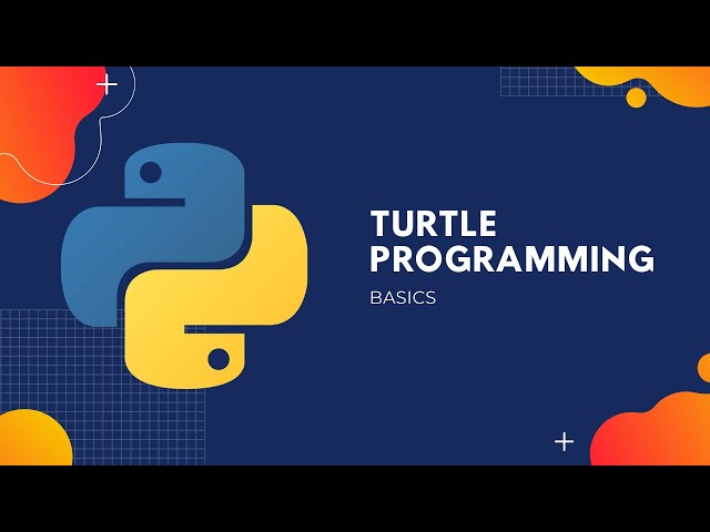 Turtle Programming Basics
