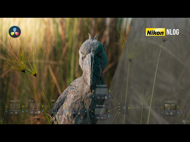 Color Grading NLog Footage in Davinci Resolve - SIMPLIFIED