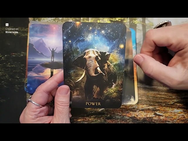 10 Mass Market Oracle Decks Never Leaving My Collection -- Part 4 of My VR to #tarotdecksforlife