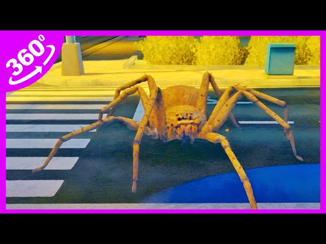 Do You Fear Arachnophobia Insects? 360 Spider Encounter You Can’t Miss!