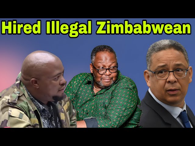 Robert McBride implicates MK Party Nathi Mthethwa for hiring illegal Zimbabwean.