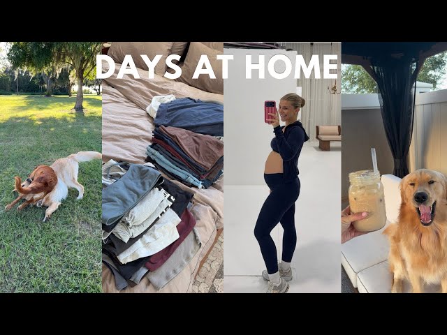 HOME VLOG: in between trips, chiropractor, package haul, puppy play date !!