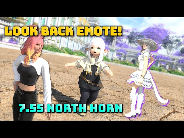 FFXIV: Look Back Emote - 7.55
