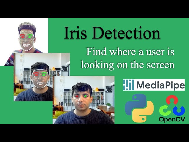 Part1. Iris tracking 🔥 How to Accurately Detect Irises in the Eye? | An Easy Guide | Mediapipe