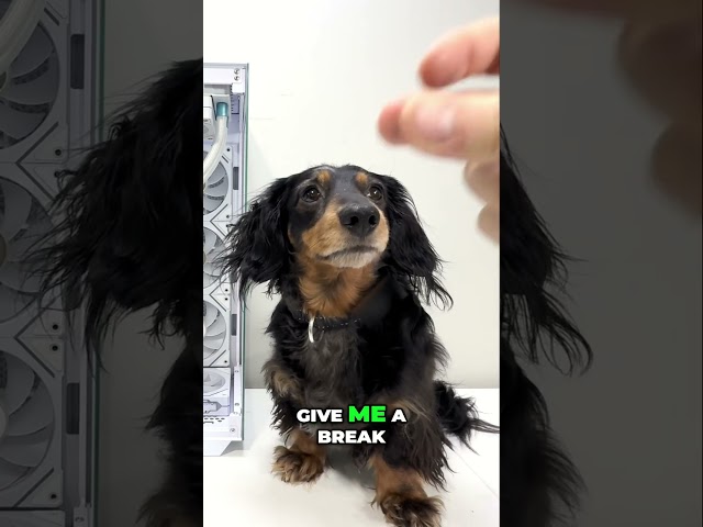 Intel vs AMD Showdown: Budget PC Build Battle!