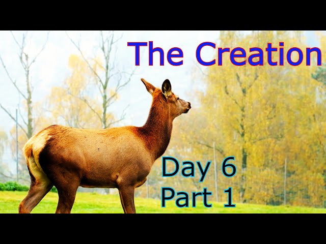 The Creation series day 6 part 1