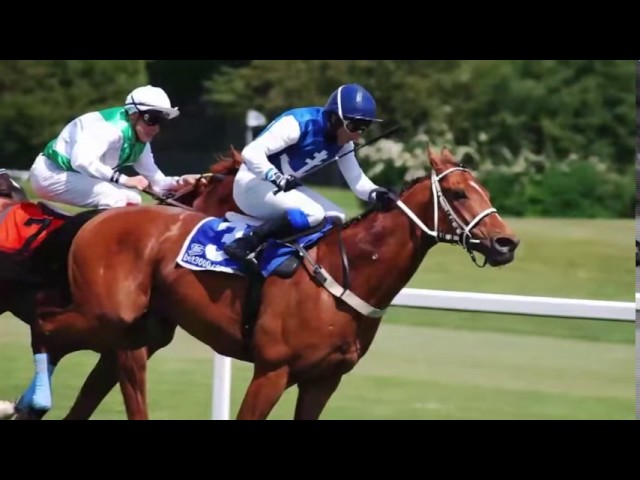 Make Money With Binary Options -  Look How I Make Money $10,000 A Month