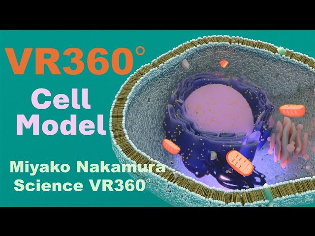 VR360　A Glimpse into the World of Mammalian Cells"（哺乳類細胞の世界をのぞいてみよう）