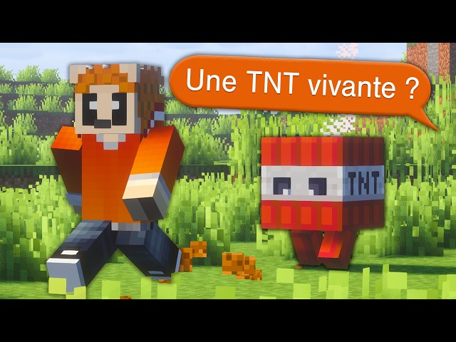 J'ai codé vos idées de TNT Minecraft... (vous êtes fous)