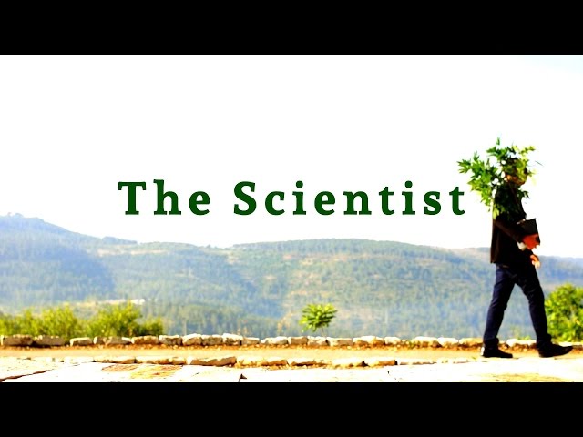 "O Cientista" (The Scientist) - Legendado em Português