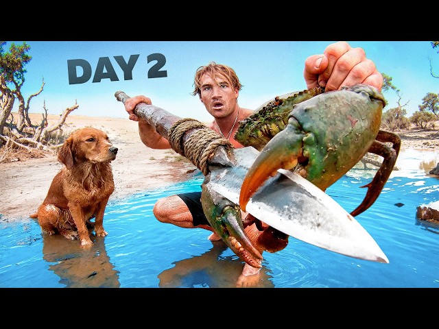 Solo Survival In a Deadly Mangrove Forest Catch n Cook