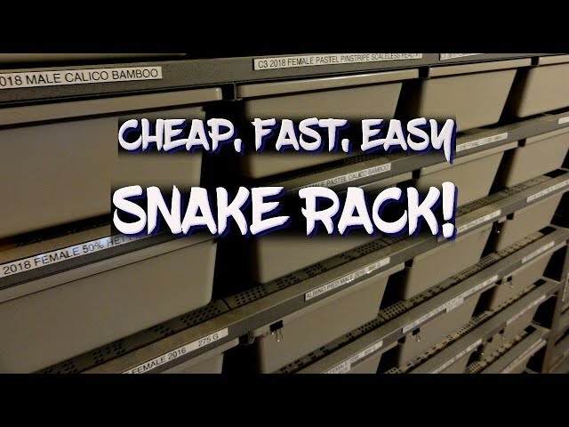 How to build a cheap, fast, and easy snake rack