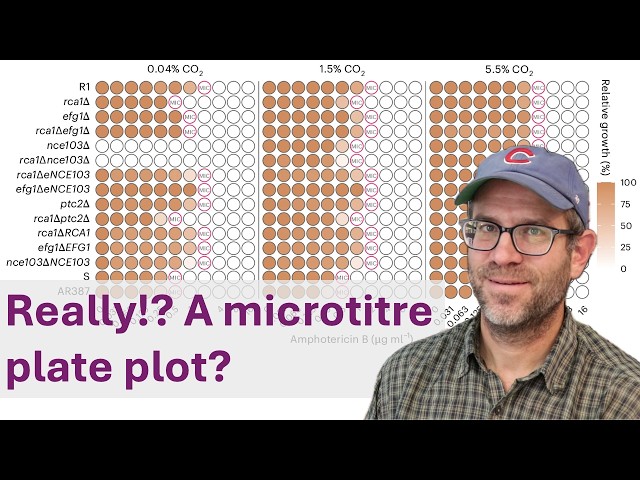 Imagining a 96 well plate as a data visualization of antibiotic resistance (CC394)