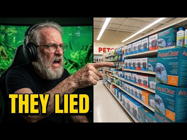 Why Aquarium Influencers Hate Big Box Stores
