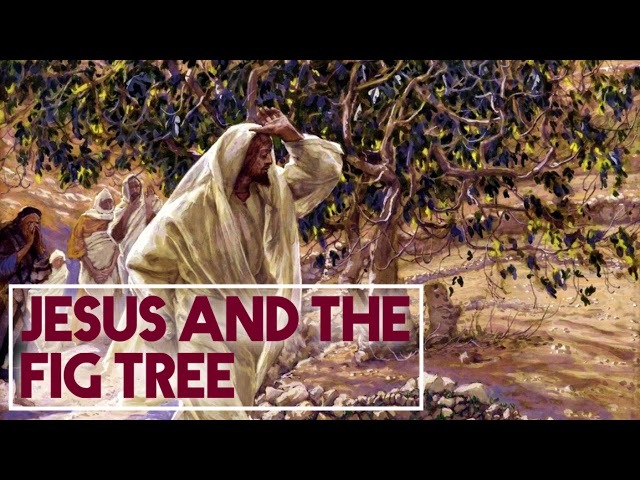 Michael Heiser — Jesus’ Parable of the Fig Tree