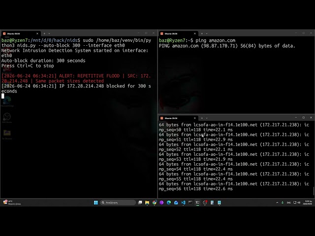 Network Intrusion Detection System ( NIDS )