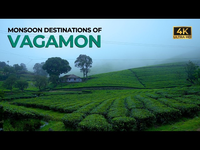 Places to Visit in Vagamon During Monsoon Other than Normal Tourist Spots