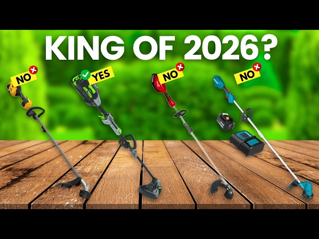 6 Best Battery Powered Weed Eater 2026