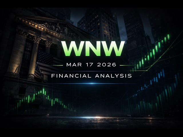 Meiwu Technology Strategic Analysis and Volatility Report 2026 WNW $WNW #WNW #stockmarket