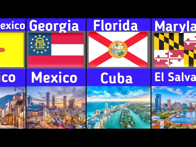 🌎 The Largest Immigrant Group in EVERY U.S. State — #1 Will Surprise You!