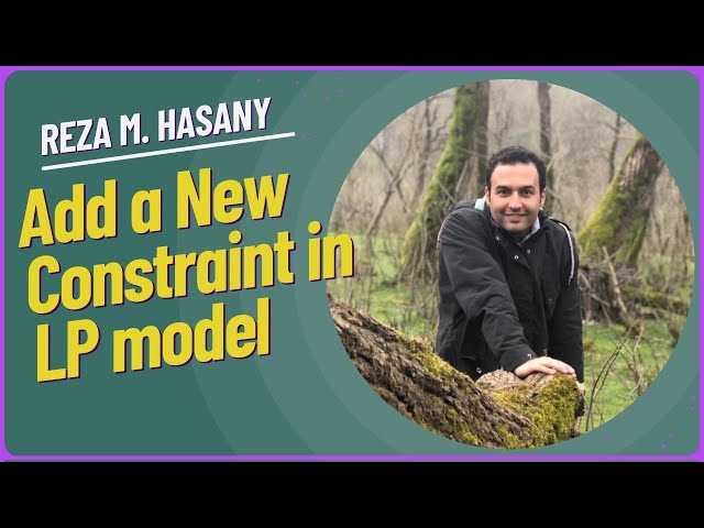 Adding a New Constraint  Impact on Linear Optimization