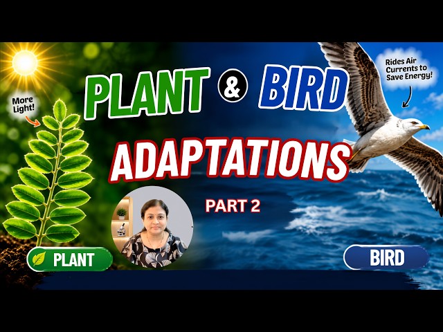 How Plants & Birds Use Structural & Behavioural Adaptations