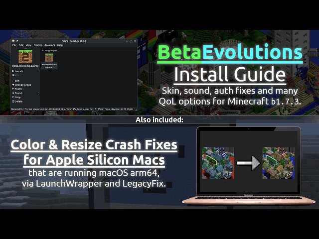 BetaEvolutions 2 Install Guide + Color Fixes for Apple Silicon Macs