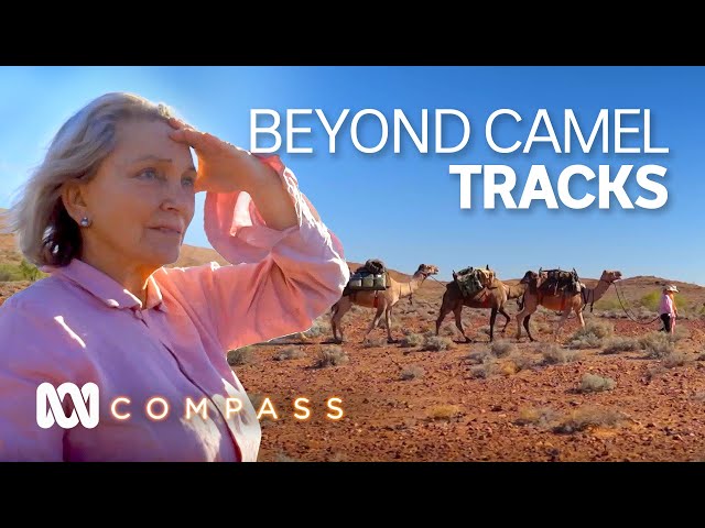 The modern-day nomad whose story inspired the film Tracks | Compass | ABC Australia