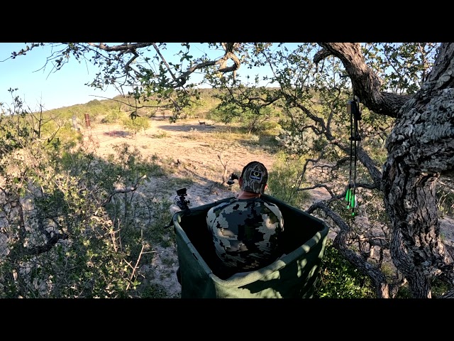 Long range Doe Shot with Ten Point Crossbow #hunting #crossbows