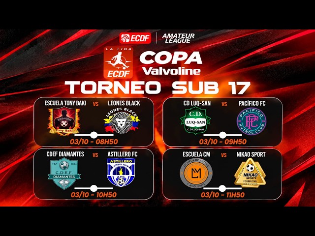 EN VIVO: TORNEO JUVENIL - SUB 17 / AMATEUR LEAGUE