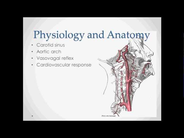 Orthostatic Hypotension - USMLE Step 2 Review