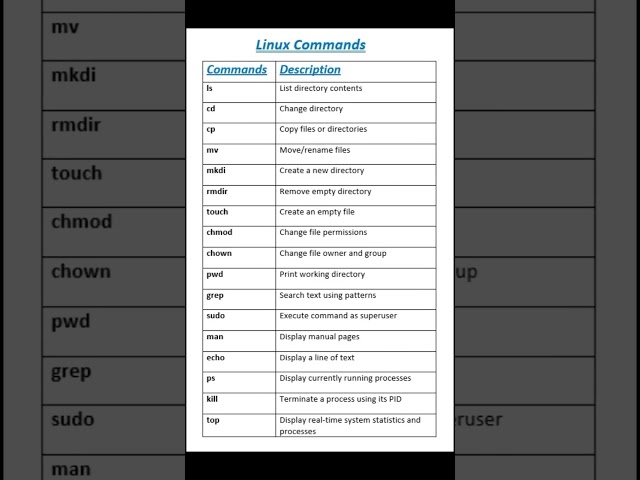 Linux Commands | Essential Linux Commands Every Beginner Should Know!