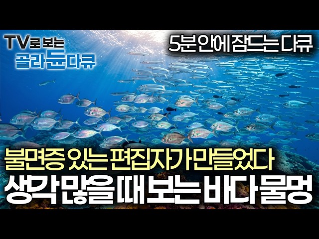 왔다 내 수면제💊 신비로운 바닷속, 아주 작은 생명체부터 거대한 자연까지, 생각 비우고 잠드는 수면 다큐｜다큐프라임｜#골라듄다큐