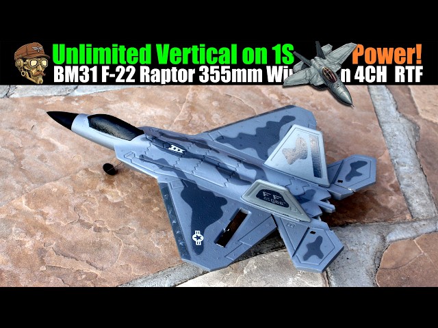 Unlimited Vertical on 1S! BM31 F22 355mm Wingspan 4CH Twin Brushless Motors RTF