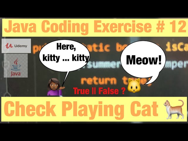 The Most Useless Java Program Ever Created